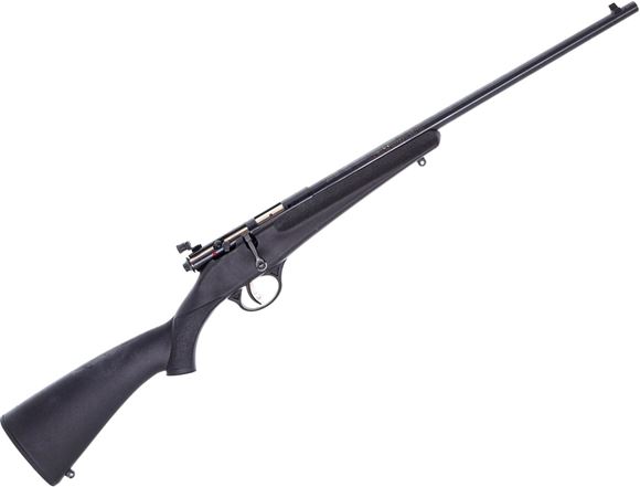 Picture of Used Savage Rascal Single-Shot Rifle, 22LR, 16" Barrel, Blued, Black Synthetic Stock, Peep Sight, Good Condition