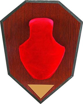 Picture of Allen 561 Horn Mounting Kit, Wood Grain Plaque, Red Skull Cover