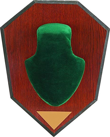 Picture of Allen 562 Horn Mounting Kit, Wood Grain Plaque, Green Skull Cover