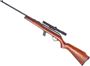 Picture of Used Cooey 64 Semi-Auto Rifle, 22LR, 20.25" Barrel, Blued, Wood Stock, Bushnell Custom 4X Rimfire Scope, 1 Magazine, Good Condition